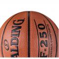   Spalding TF-250 All Surface