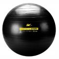 Гимнастический мяч ZIVA 55 см (с насосом)
