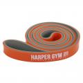    Harper Gym NT18008 ( 10-30 )