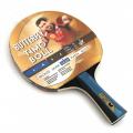     BUTTERFLY Timo Boll gold