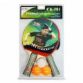 Набор для настольного тенниса Double Fish CK-301 (2 ракетки, 3 мяча)