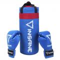 Набор для бокса INSANE Fight, 39х16 см, 1,7 кг