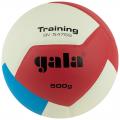   GALA Training Heavy 12