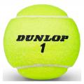     DUNLOP Australian Open (4 .)