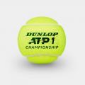   DUNLOP ATP Championship 4B (4 .)